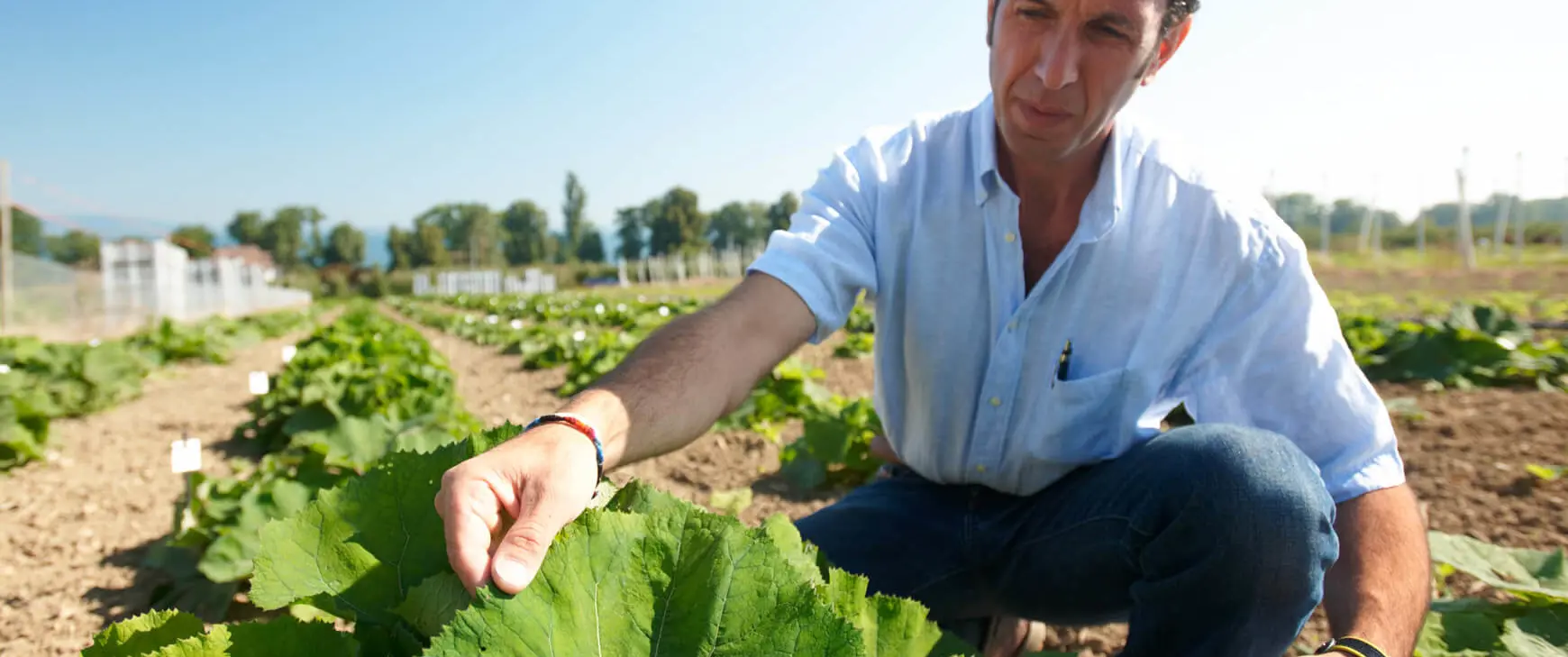 Vitaplant-research-development.jpg